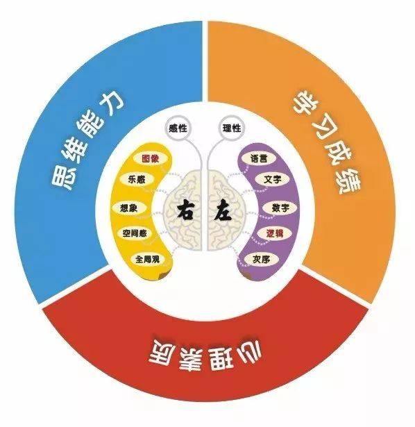 全脑潜能开发——教育趋势的改变