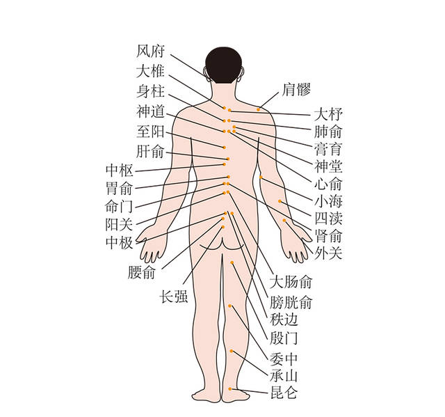 砭石通阳罐背部刮痧温灸按摩热敷等日常护理功能操作教程