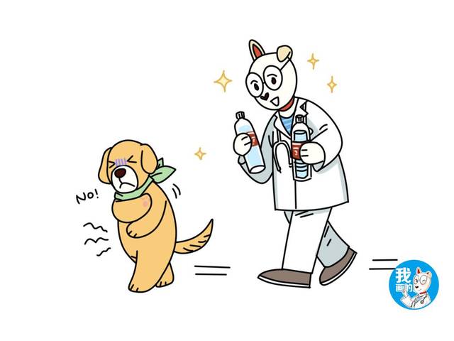 辟谣:狗到底应该喝什么水?相信我,多喝开水确