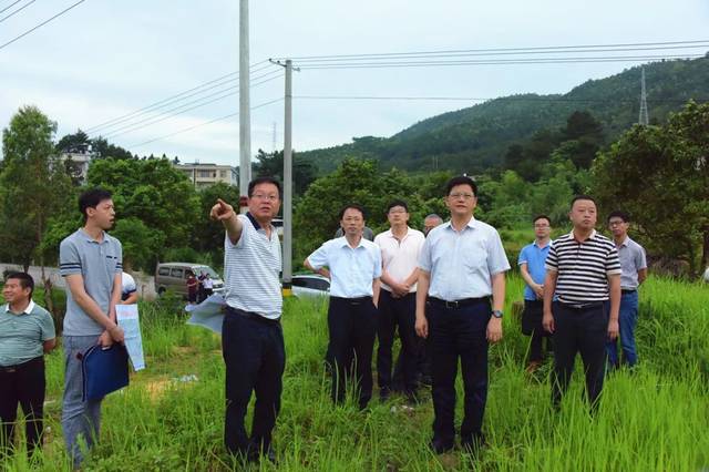 福平铁路公司,中铁设计公司有关负责人参与调研,县领导方刚,蔡铭泉等