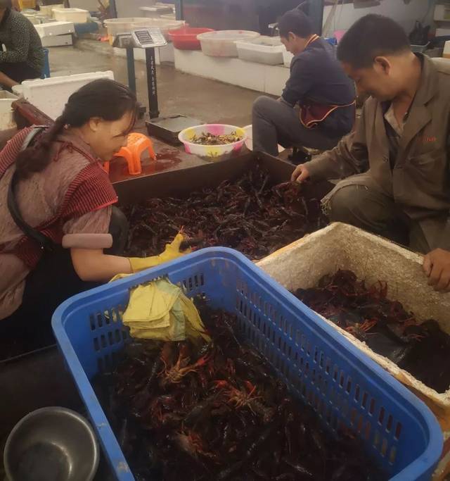 21日,记者走进广平农贸市场,一只只生猛的小龙虾在盆里张牙舞爪,不少