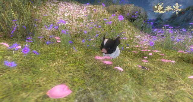 本周更新:全民争霸赛奖金分成提升至50%,难度本必掉百炼装备!