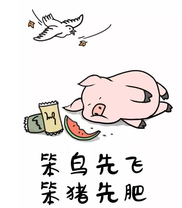 抱怨身处黑暗 不如提灯前行 人生充满期待 梦想接着未来 笨鸟先飞 笨