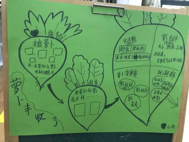 小班段:萝卜丰收了
