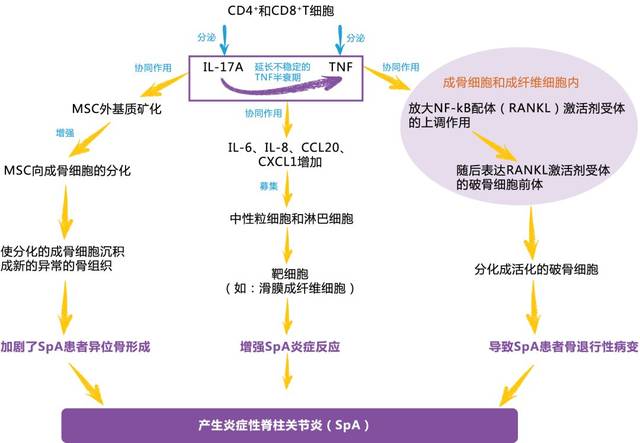 使用后许多患者皮损症状改善,可达到pasi90(相对于基线银屑病皮