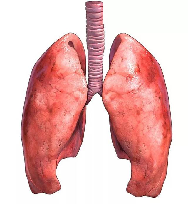 为啥这样说?一个人肺好不好,鼻子先知道.