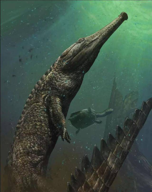 北非发现体10米长的史前海中巨鳄