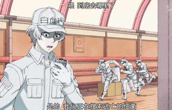 这部高分动漫可以给孩子轻松科普人体科学,你