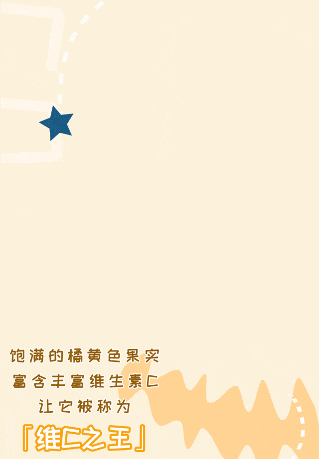 640_922 竖版 竖屏