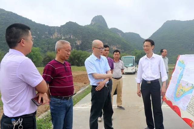 李方林(右一)向陈锋副市长(右二)汇报驮卢镇莲塘村耕地提质改造