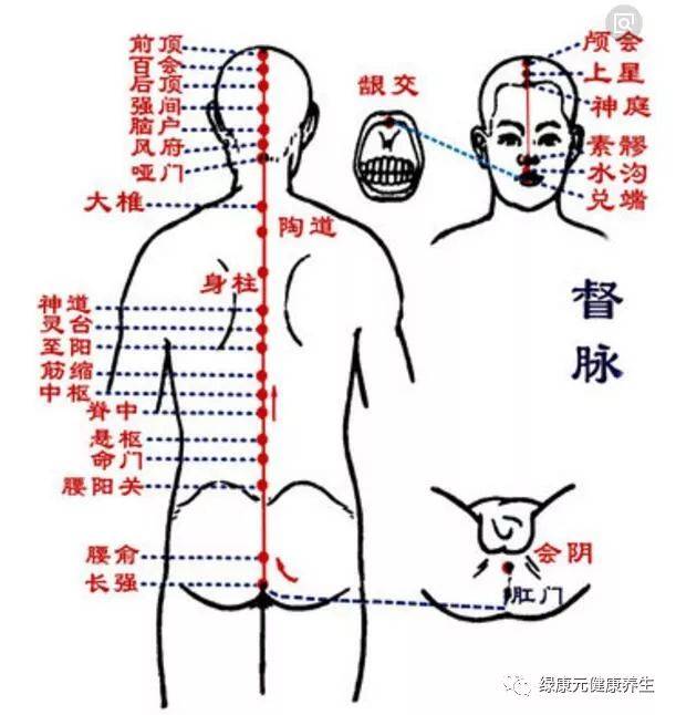 经络与疾病的关系!