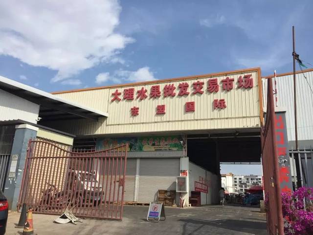 大理批发零售:选购指南