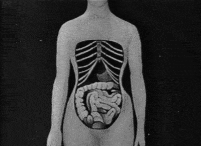 问的人太多了,好好讲下现在最火的束腰吧