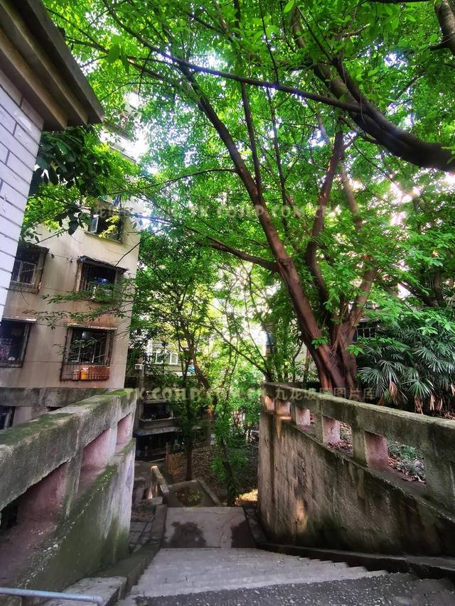 重庆:谢家湾老旧居民楼的"自治"之路