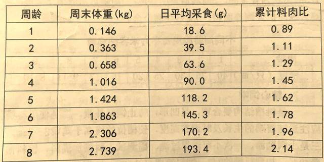 10,白羽肉鸡体重,采食,料肉比参考表 育雏维周龄后结膜炎饮水器维鸡