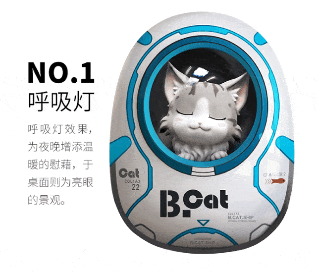 【独家访谈】新物种黄油猫 从哪里来
