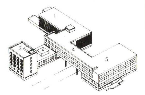 栽花插柳,源远流长 德绍包豪斯校舍与同济大学文远楼 李振宇 钱锋