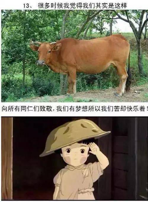 正科公务员晒出工资单表示压力很大,网友的评