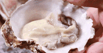 337_173gif 动态图 动图