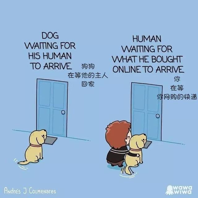 周末漫画|扎心又软萌的英语漫画,画风也太治愈