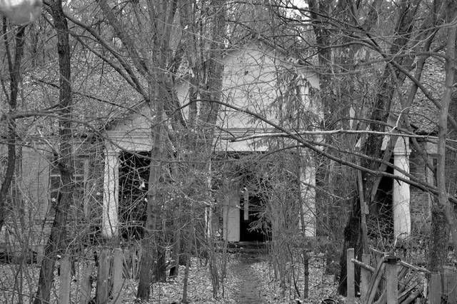 切尔诺贝利孕育了变异巨鼠的传说,终成野生动