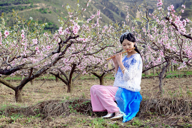 桃花树下的青春美女美图欣赏