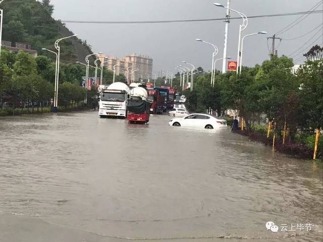 金海湖新区松林马场,庄稼被洪水淹没.