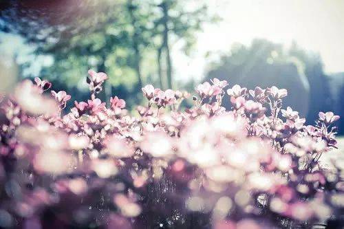 63׶漣MUsfҳ԰ȫʵƶ