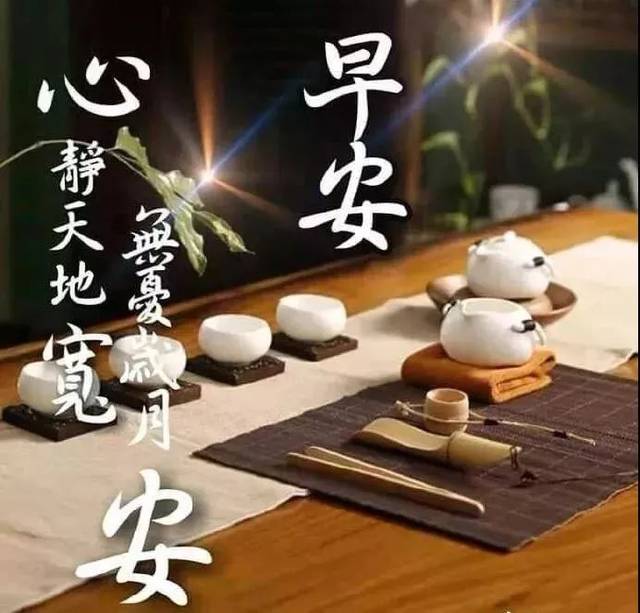 清晨群发的早上好祝福图片带鲜花 温馨早安问候祝福表情图片