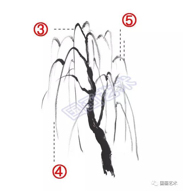 国画柳树的入门画法技法详解柳树画法进阶教程