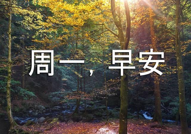 星期一早上好问候语图片 新的一周早上好动态表情图片