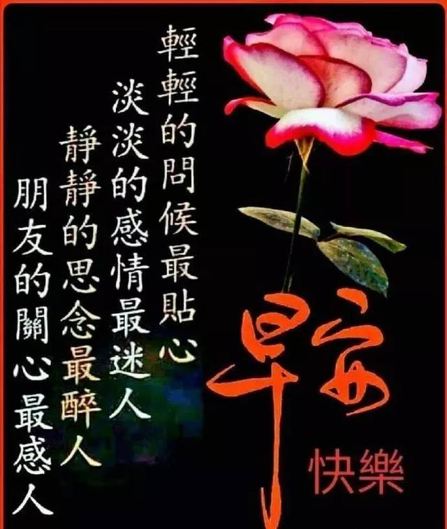 最美早上好动态图片表情带字和鲜花,早安问候语配动态