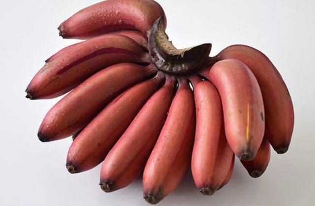 2年只结一次果的红皮香蕉,实在太美味!