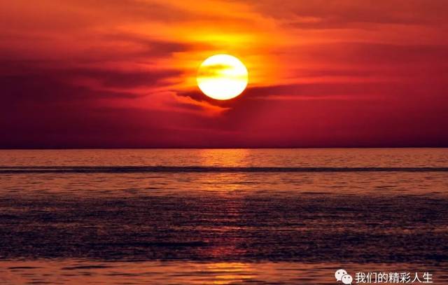 就是那首动听的歌 最美不过夕阳红 夕阳是晚开的花陈年的酒 是迟到的
