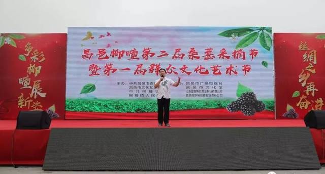 关注 ▏柳疃镇第二届桑葚采摘节火爆启幕，一起看看桑葚有啥保健功