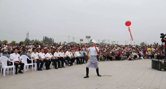 关注 ▏柳疃镇第二届桑葚采摘节火爆启幕，一起看看桑葚有啥保健功