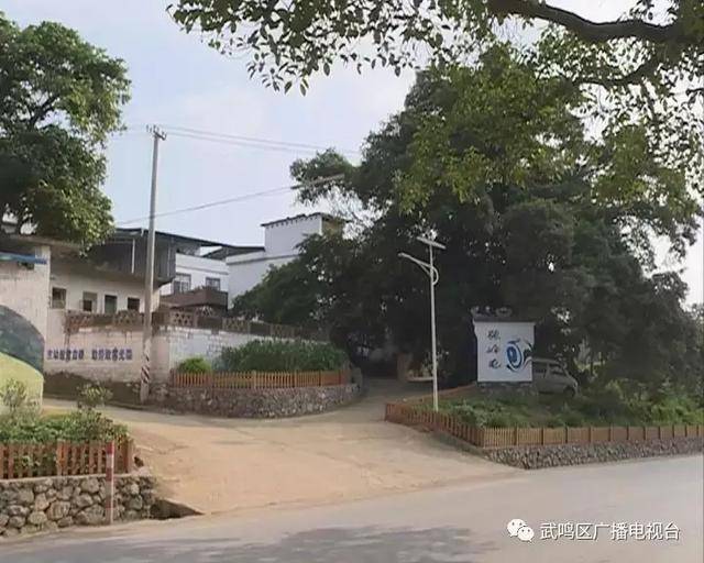 苞张村张岭屯是陆斡镇最先启动"三清三拆"行动的村屯.