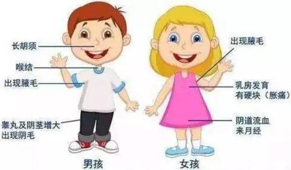想孩子远离矮小和性早熟?快抓紧机会问专家!