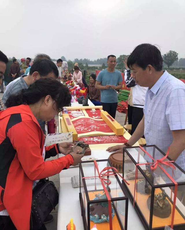 关注 ▏柳疃镇第二届桑葚采摘节火爆启幕，一起看看桑葚有啥保健功