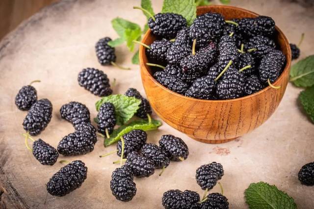 关注 ▏柳疃镇第二届桑葚采摘节火爆启幕,一起看看桑葚有啥保健功