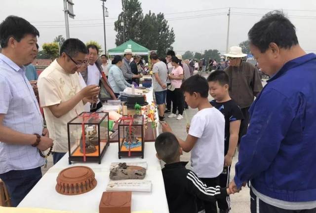 关注 ▏柳疃镇第二届桑葚采摘节火爆启幕，一起看看桑葚有啥保健功