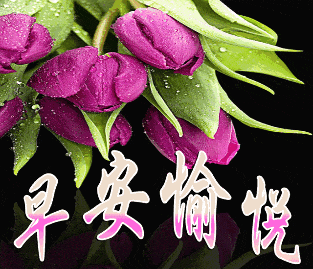 早上好图片最美温馨带祝福句子 早上好问候语全集