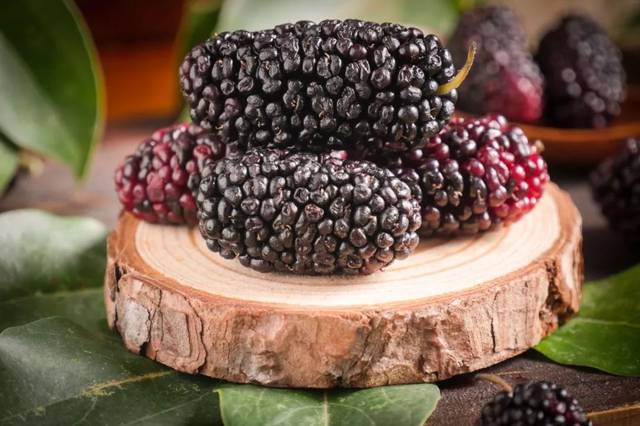 关注 ▏柳疃镇第二届桑葚采摘节火爆启幕,一起看看桑葚有啥保健功