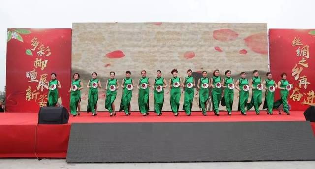 关注 ▏柳疃镇第二届桑葚采摘节火爆启幕，一起看看桑葚有啥保健功