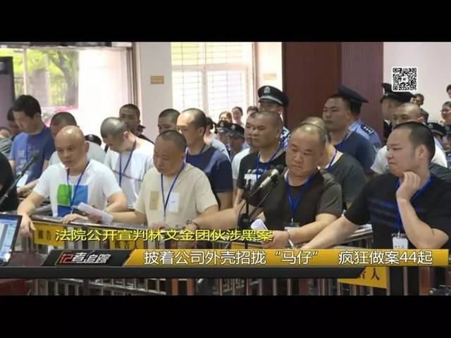 龙岩林文金团伙涉黑案一审宣判!