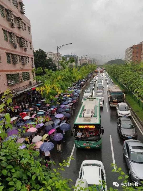 南都网友@ailey yeh: 坐标天河岑村红花岗,每到暴雨天都是图示场景