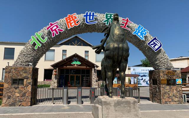 可以乘坐驯鹿拉雪橇驰骋雪地,化身"圣诞老人",体验不一样的冰雪世界