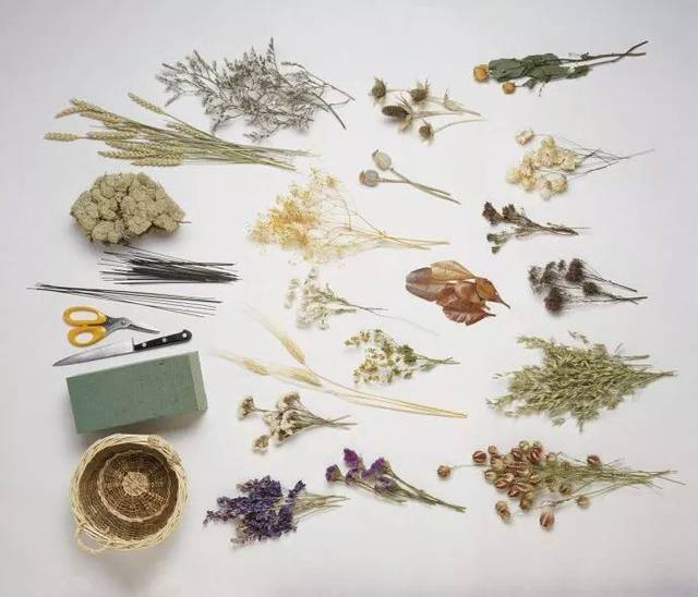 满天星 满天星算是很常见的干花花材,花朵越小的花材越适合做干花.
