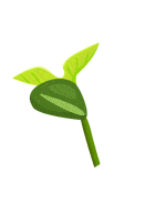 航线鄂尔多斯国际机场7月1日将恢复鄂尔多斯经桂林至海口往返航线