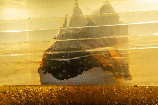 「爱护动物,保护环境」 · MR.WHITE 用球鞋来